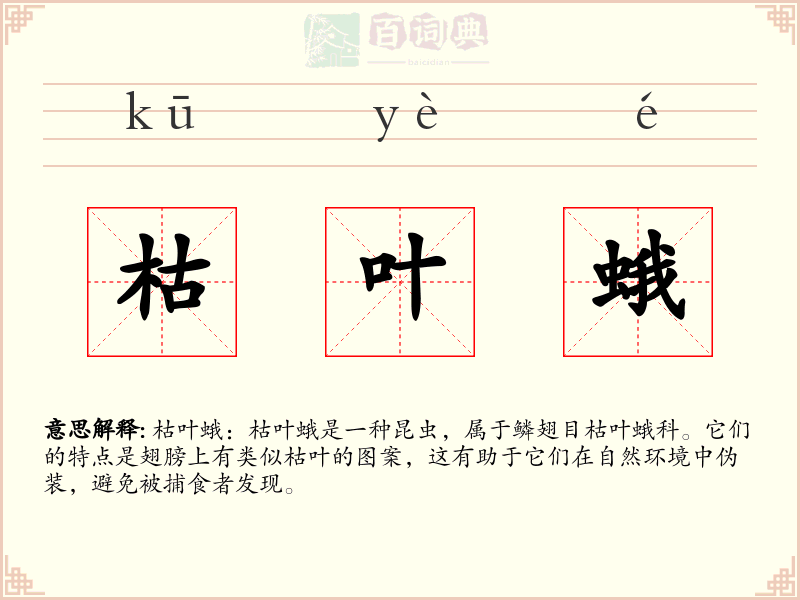 枯叶蛾