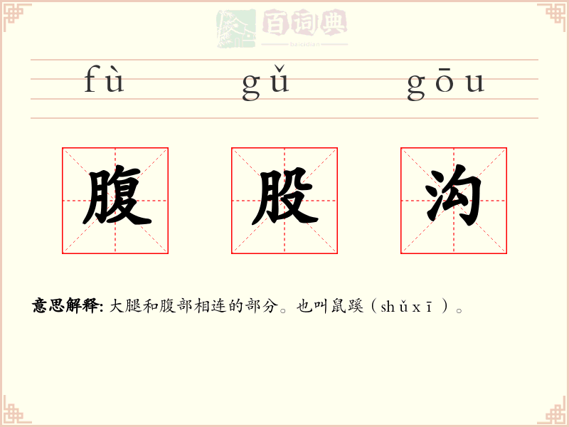 腹股沟