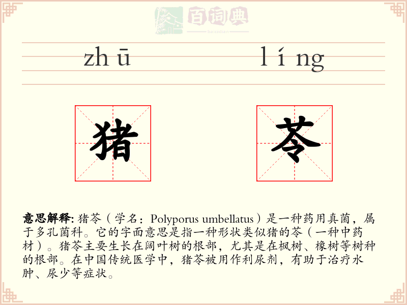 猪苓