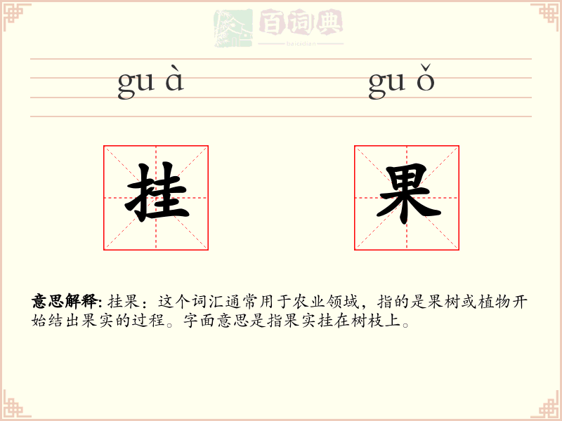 挂果