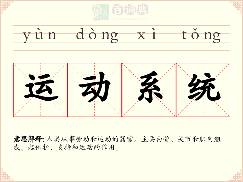 运动系统