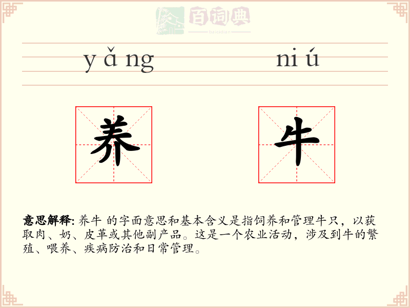 养牛