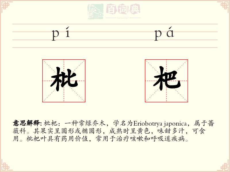 枇杷