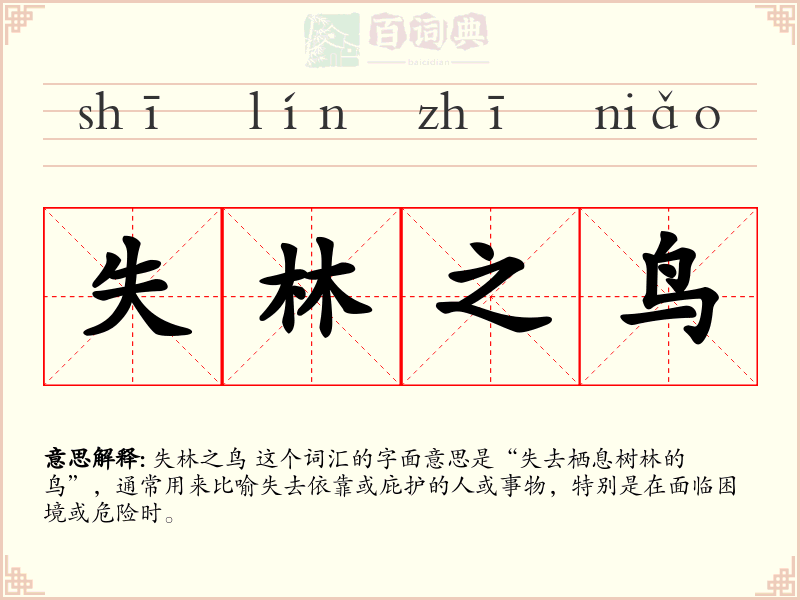 失林之鸟