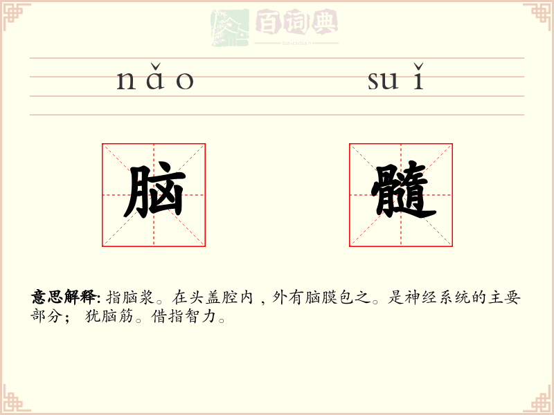 脑髓
