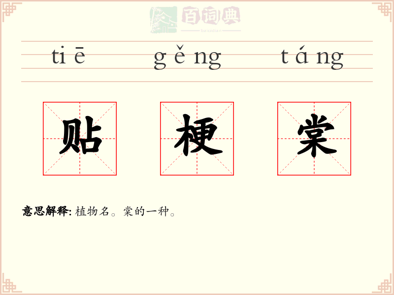 贴梗棠