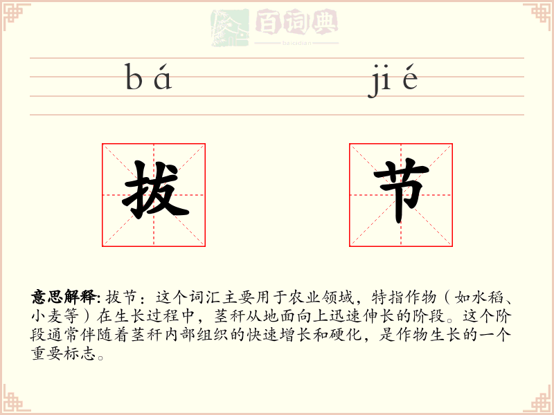 拔节