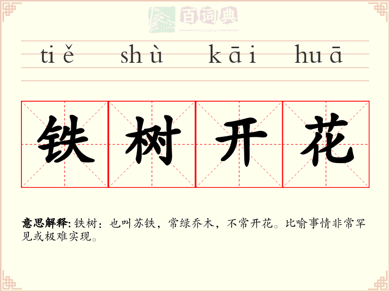铁树开花