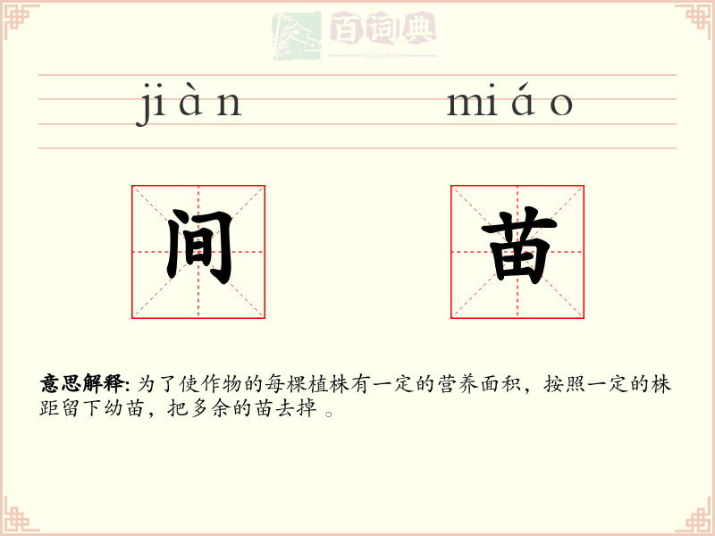 间苗