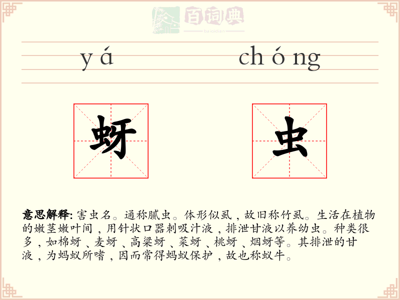 蚜虫