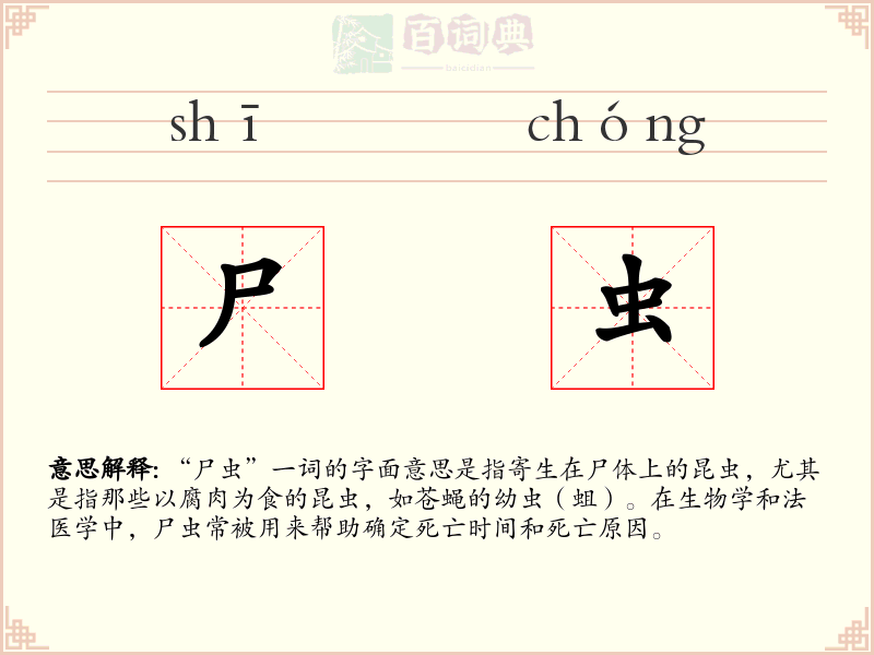 尸虫