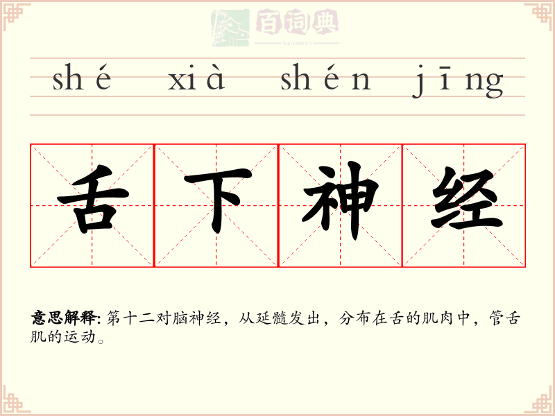 舌下神经