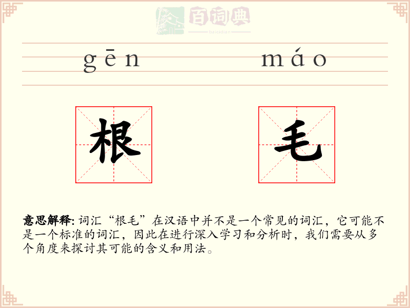 根毛