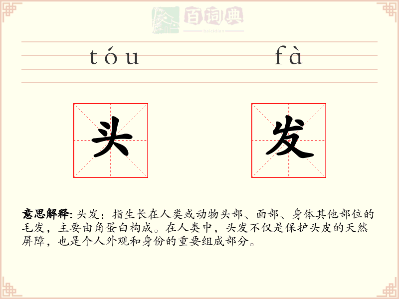 头发