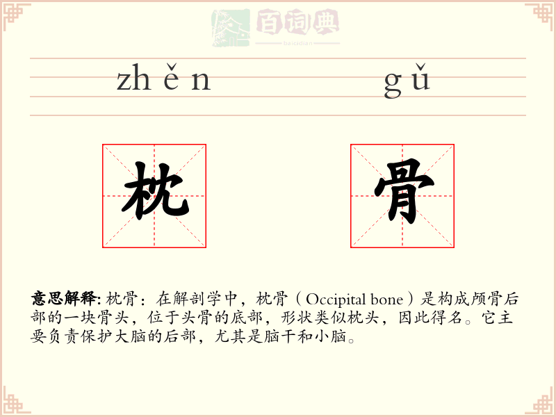 枕骨