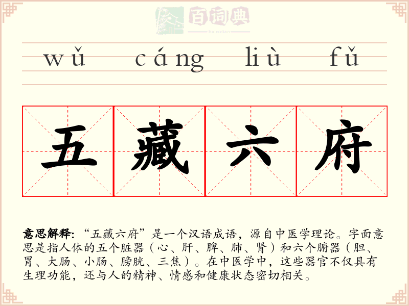 五藏六府