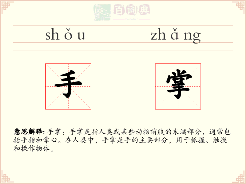 手掌