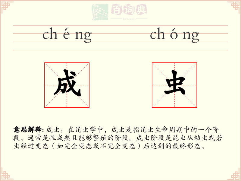 成虫