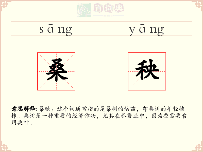 桑秧