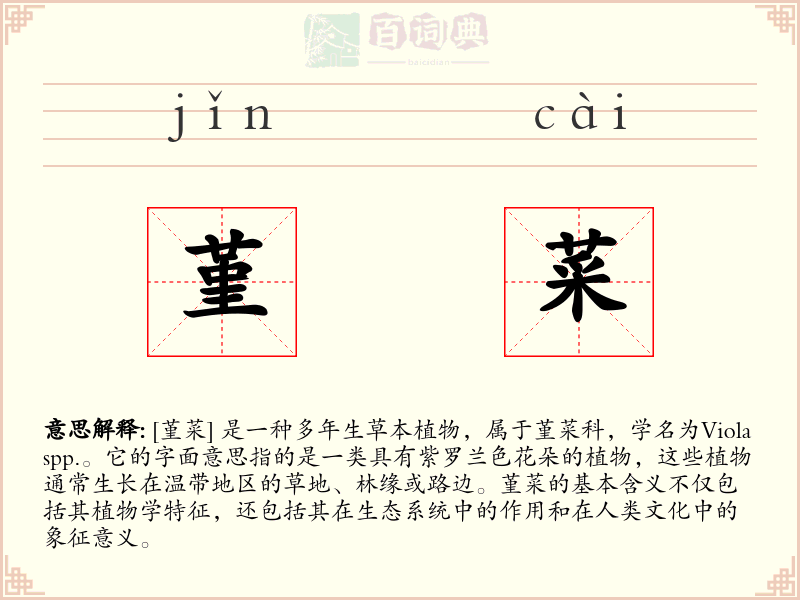堇菜