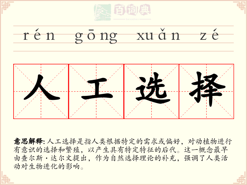 人工选择