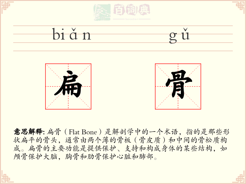 扁骨