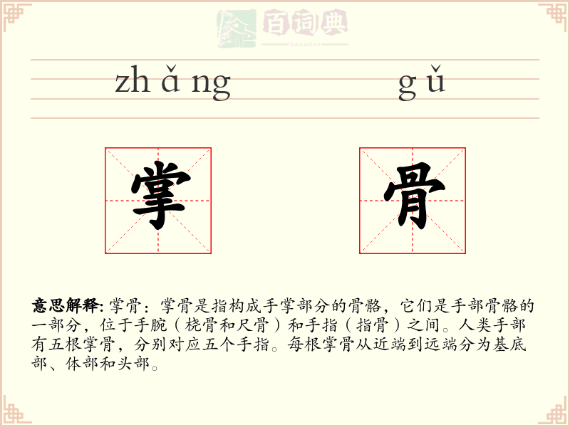 掌骨