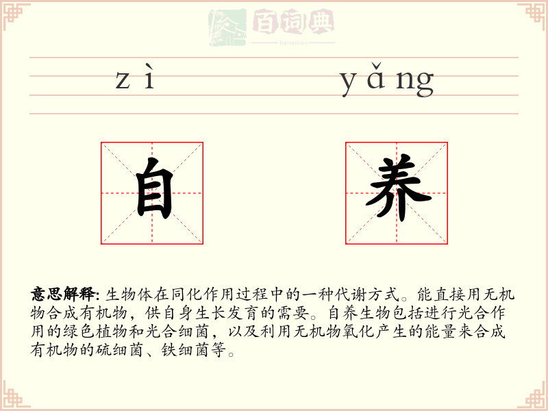 自养