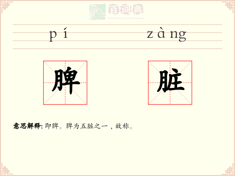 脾脏