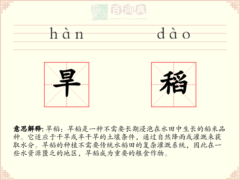 旱稻