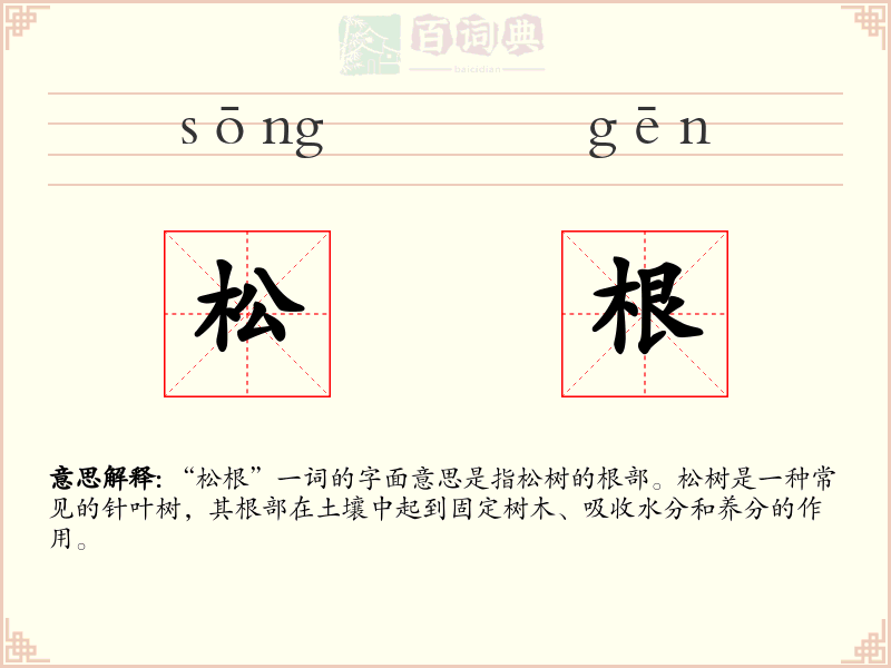 松根
