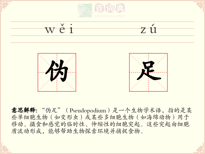 伪足