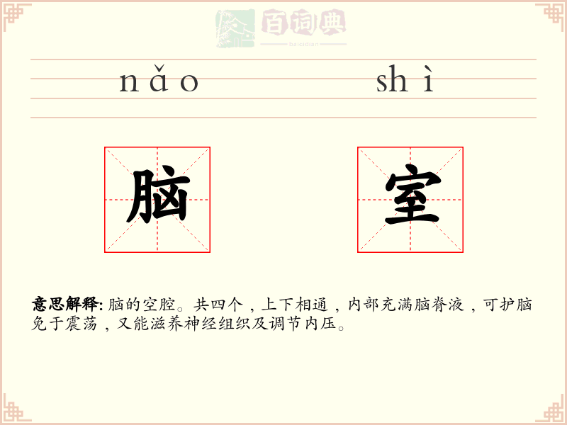 脑室