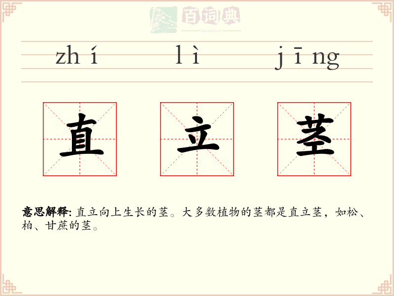 直立茎