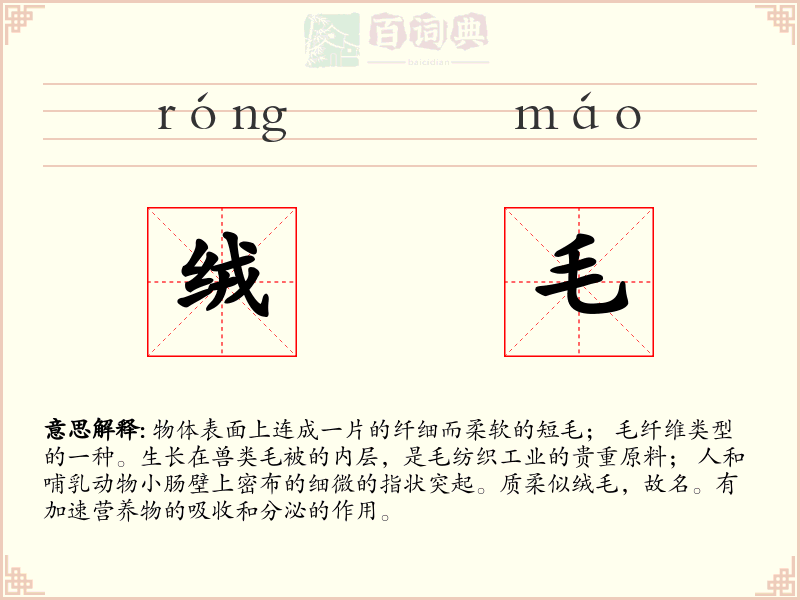 绒毛