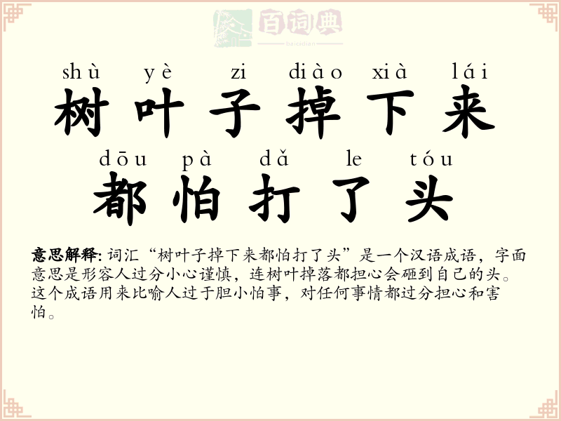 树叶子掉下来都怕打了头