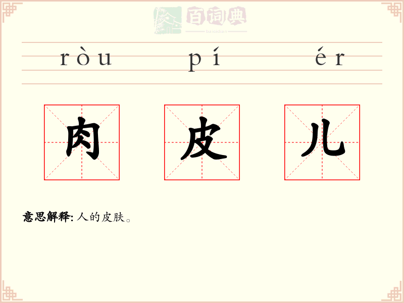 肉皮儿