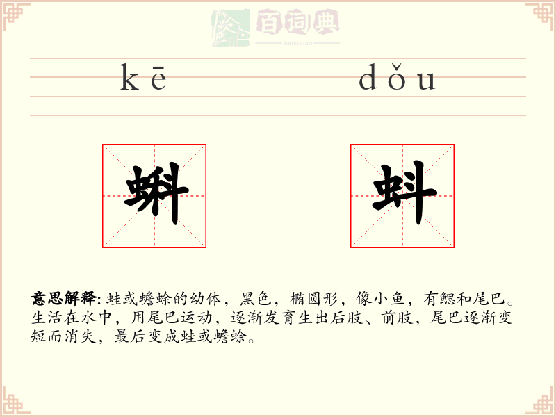 蝌蚪