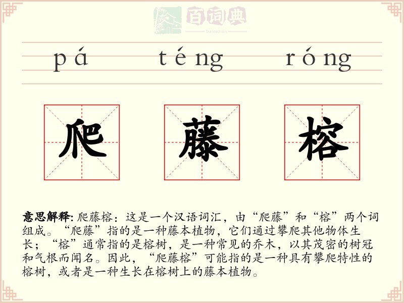爬藤榕