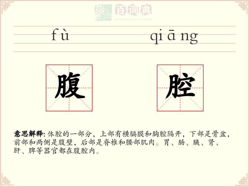 腹腔