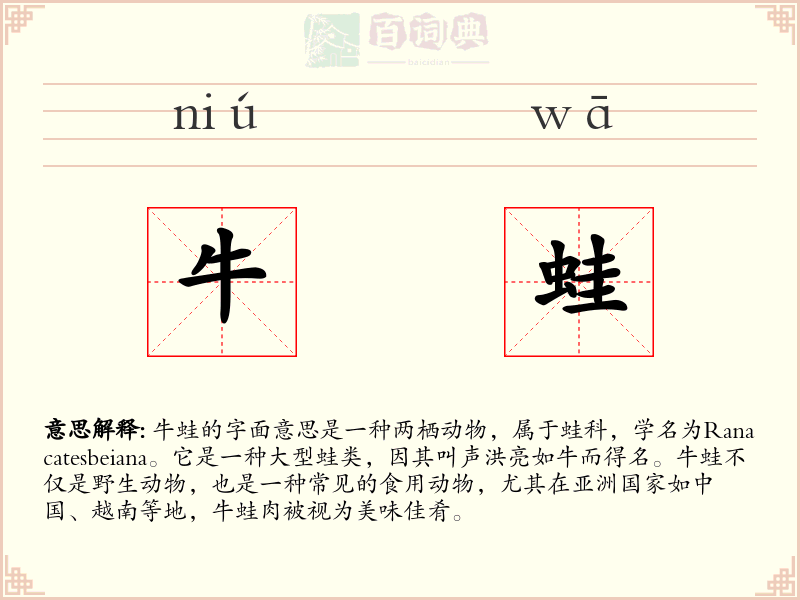 牛蛙
