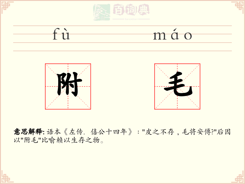 附毛