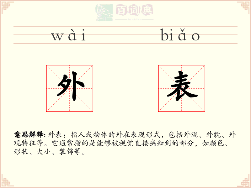 外表