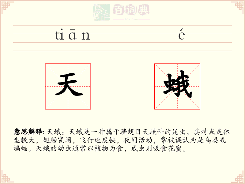 天蛾