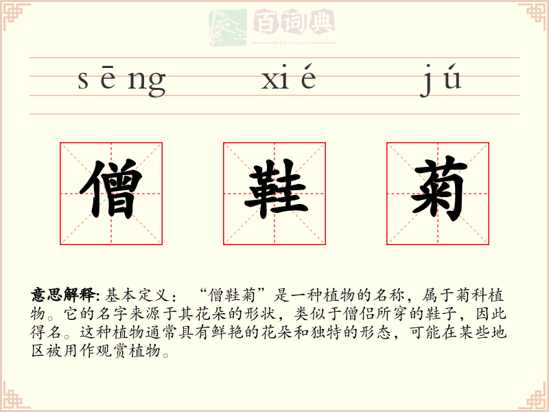 僧鞋菊