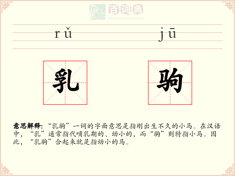 乳驹