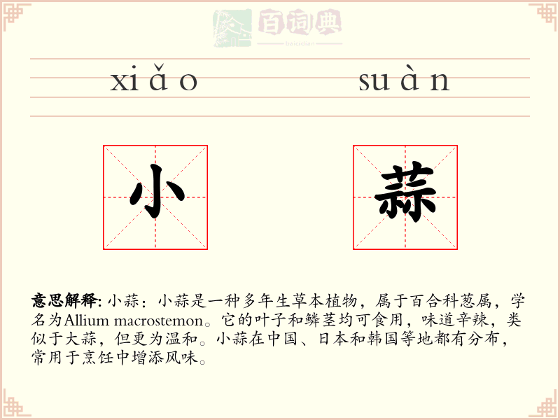 小蒜