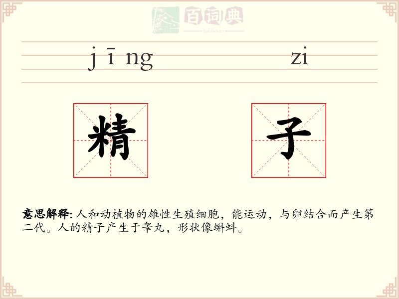 精子
