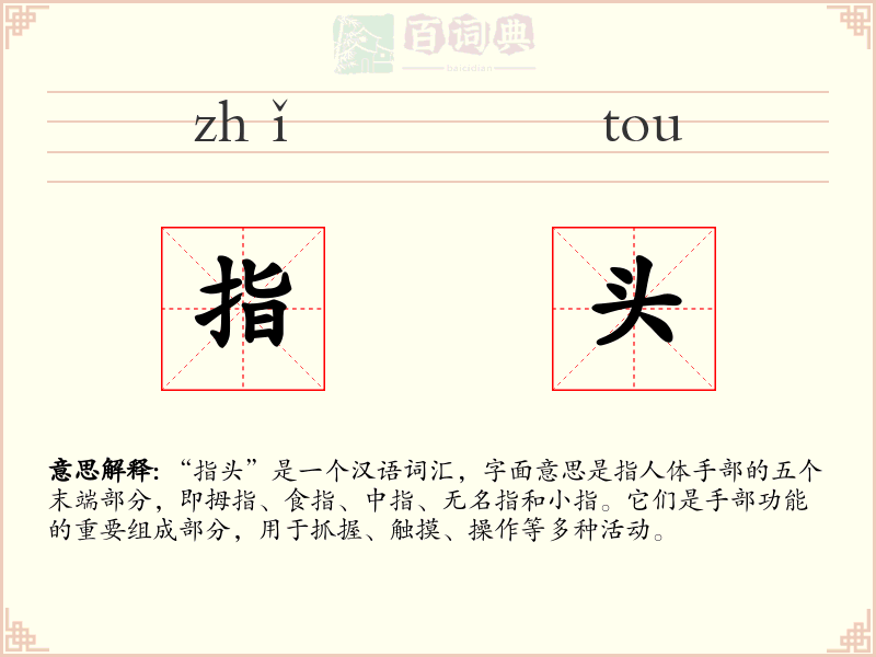 指头