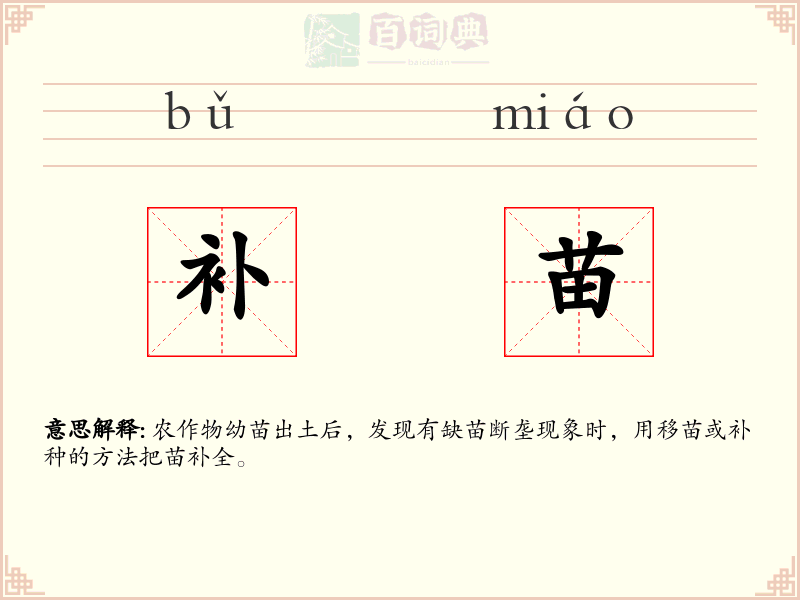 补苗